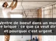 Ventre de bœuf mur brique : pourquoi c'est urgent — illustration
